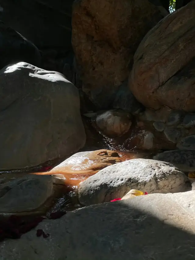A breathing hot spring resort hidden in the forest