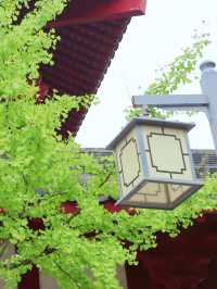 河南省 駐馬店市 盤古山景區 | 中國盤古聖地