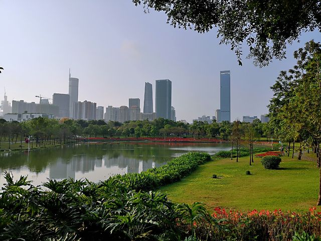 快來深圳公園，一起打卡啊