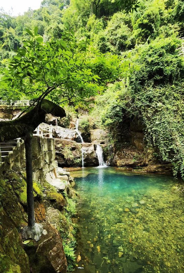 岭南四大名山之首的鼎湖山