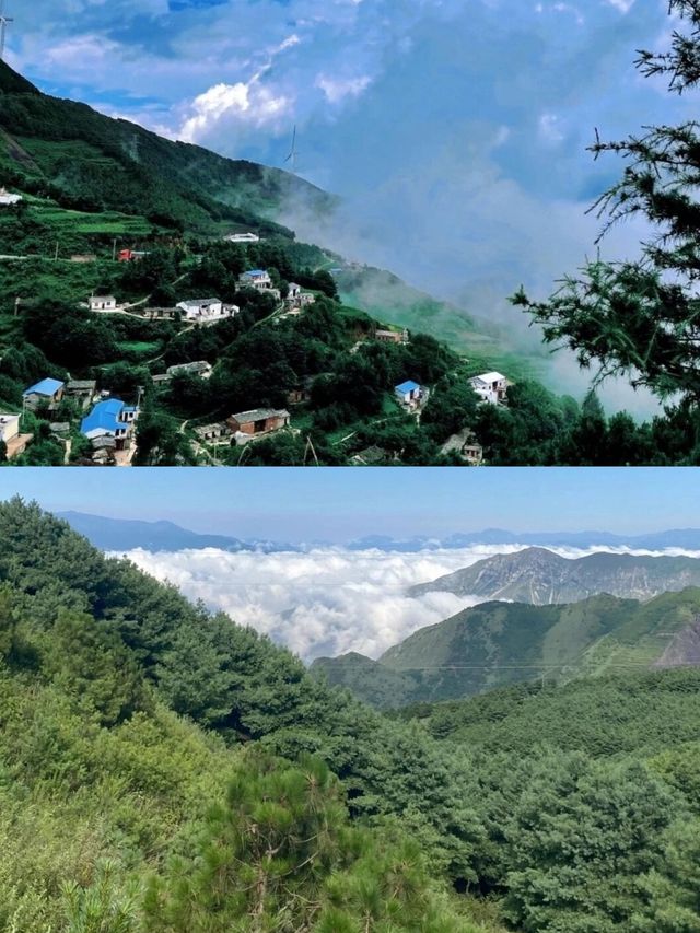 宮崎駿同款草地——大海草山