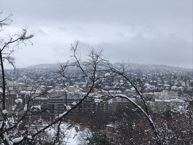 布達城堡在雪中