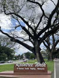 絕美的太平湖和Raintree Walk