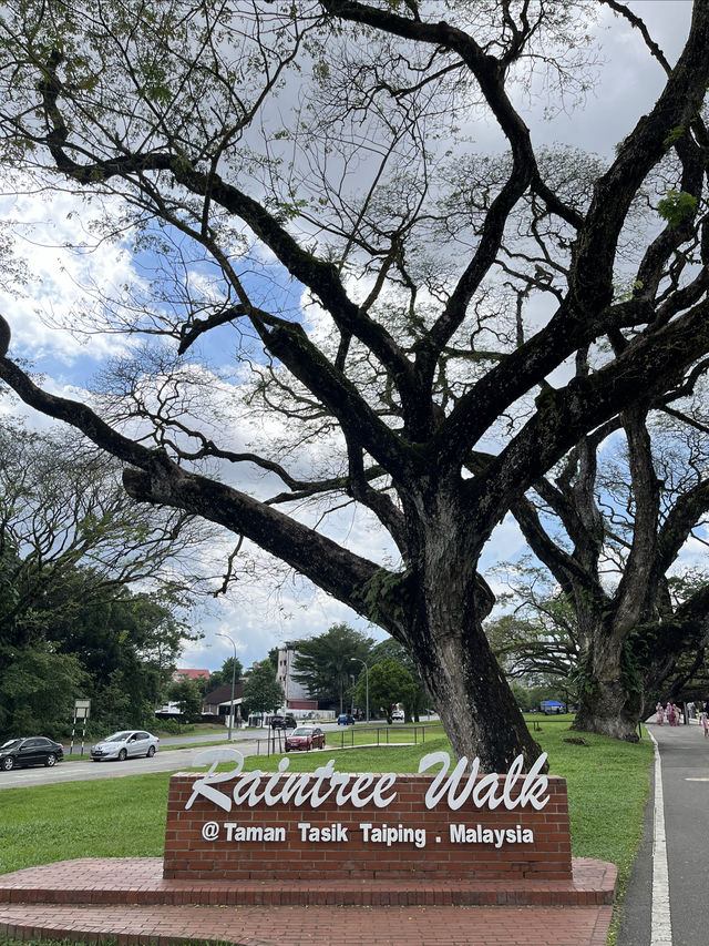 絕美的太平湖和Raintree Walk