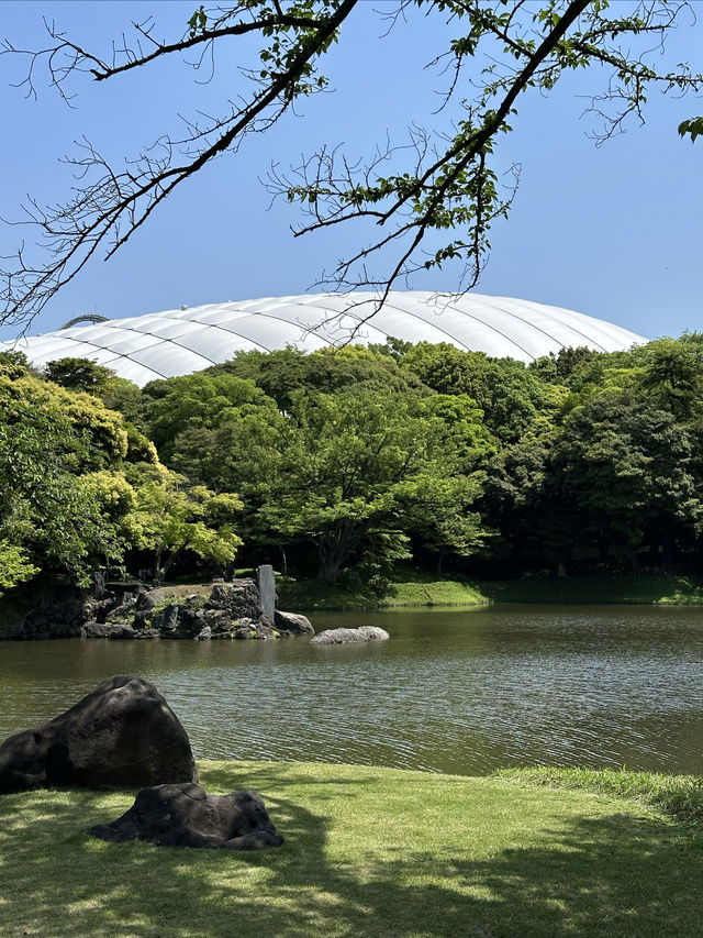 藏在東京市中心的秘境遊園地 | 小石川後樂園