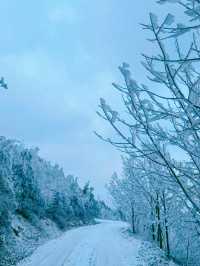 一山賞盡秋山雪色，四明山自駕路線及機位