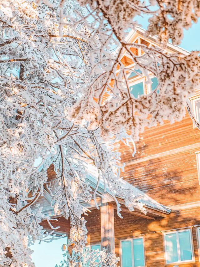 西岭雪山怎麼耍？這些精髓玩法速get