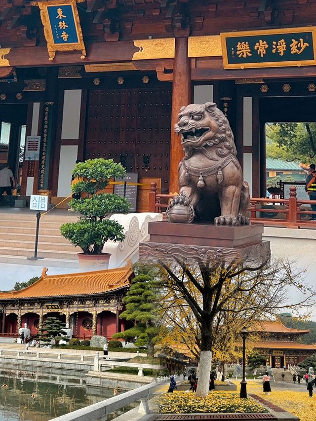 九江一日遊｜廬山東林寺和東林大佛攻略