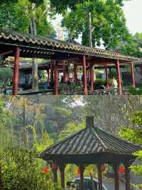 佛山清暉園 | 繁華鬧市中的人間天堂