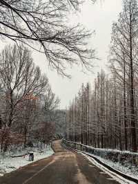 古金陵四十八景之一的～永济江流