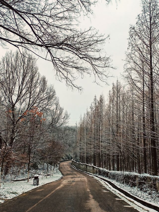 古金陵四十八景之一的～永济江流