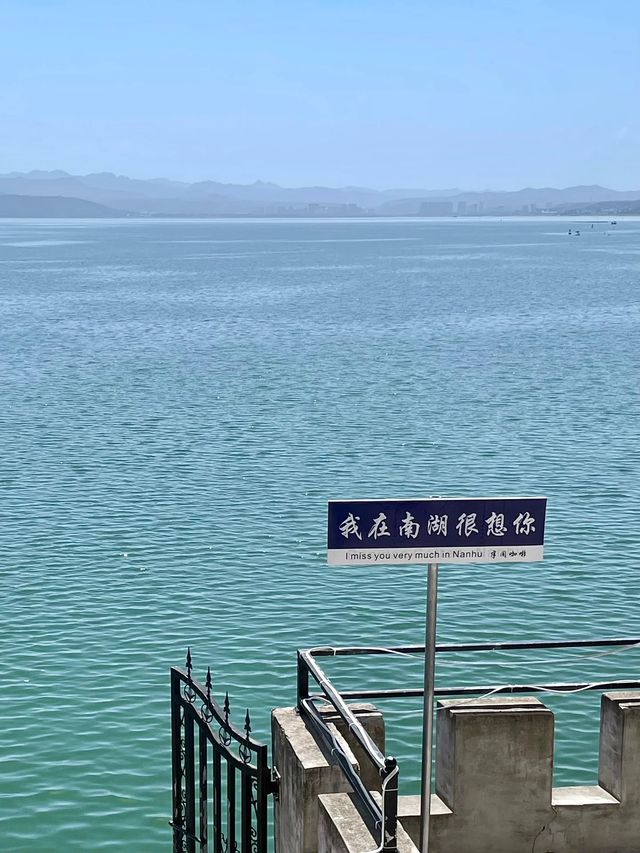 河南|冬日裡我在嵩縣賞“洱海”餵海鷗～