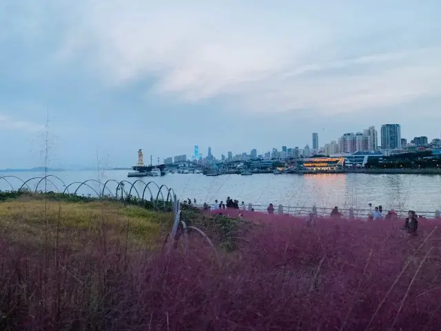 麦の島公園