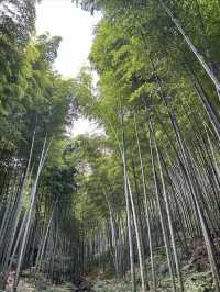 從上海自駕3小時到溧陽,天夜根本不夠玩!