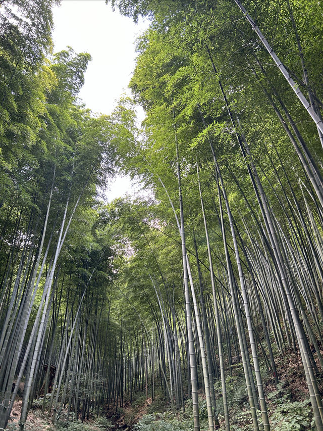 從上海自駕3小時到溧陽,天夜根本不夠玩! 從上海自駕3小時到溧陽,天夜根本不夠玩!