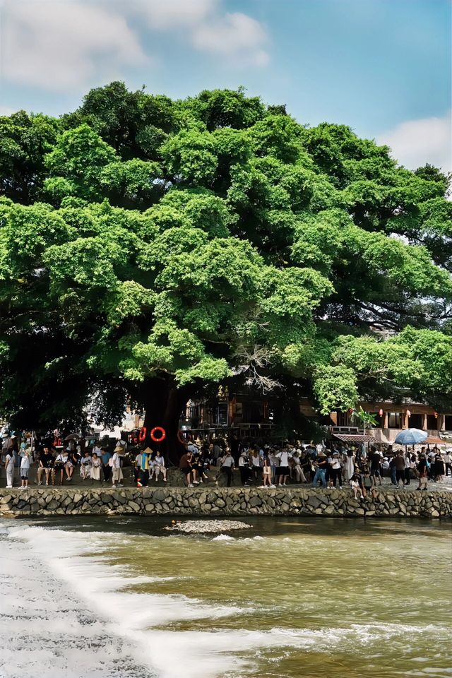 雲水謠古韻之旅：漳州文化體驗兩日遊