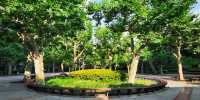 淮海公園：由外國人公墓改建而來的公園