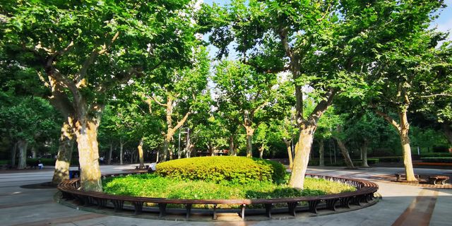 淮海公園：由外國人公墓改建而來的公園