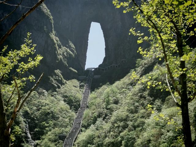 후난 장가계 천문산 국가삼림공원