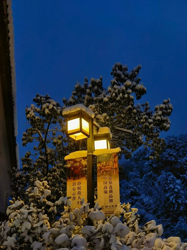 蒼山負雪，明燭天南