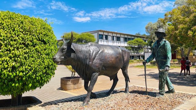 非洲博茨瓦納，參觀最大最好的大學，相當於中國的清華北大