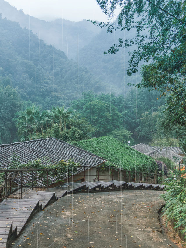 迎春雨，山居詩意 | 韶關丹霞小眾民宿