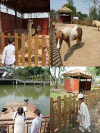 佛山這免費公園、遛娃露營櫻花喂動物