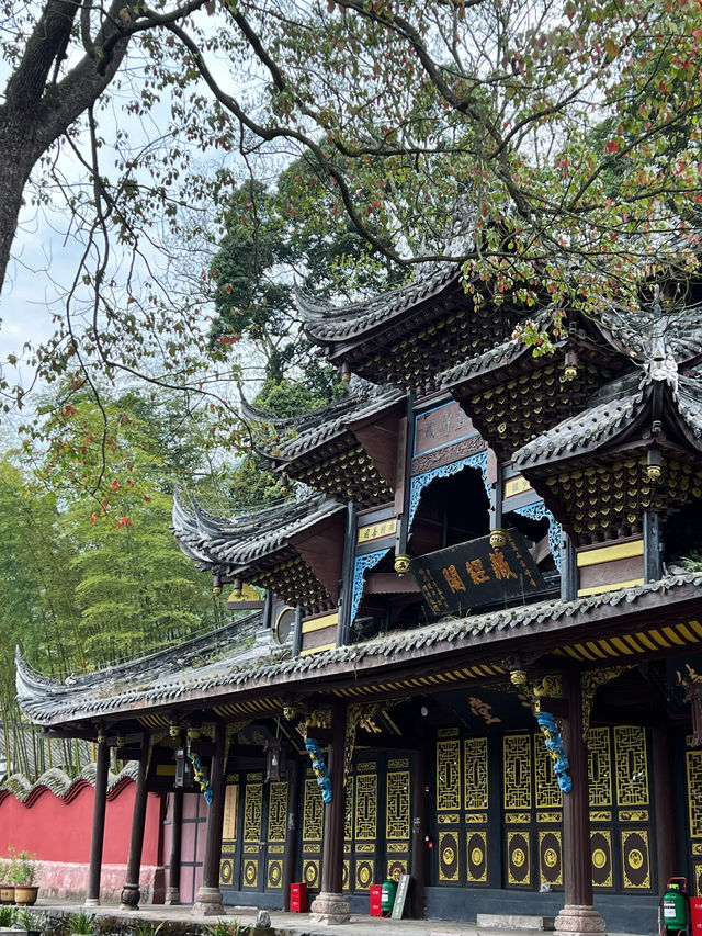 成都周邊，遊千年禪寺，賞萬畝茶園