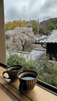 京都旅行必打卡！入住東山，步行直達網紅景點，清晨私享靜謐之美