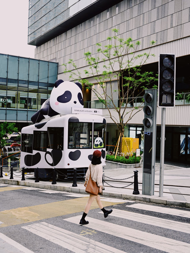 重慶gai溜子！街頭偶遇國民頂流熊貓纜車