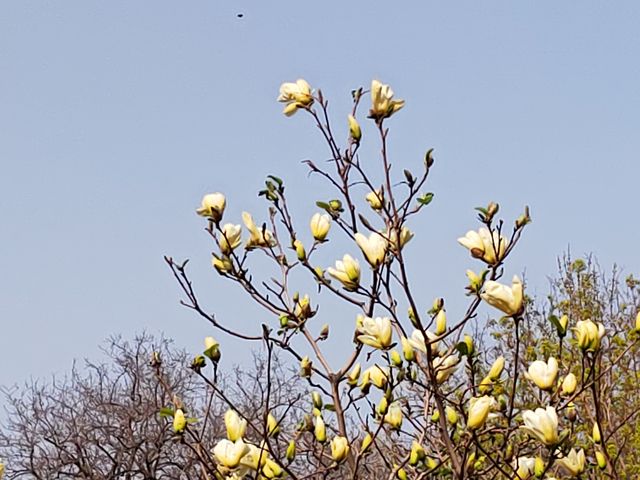 春風百花樂陶然