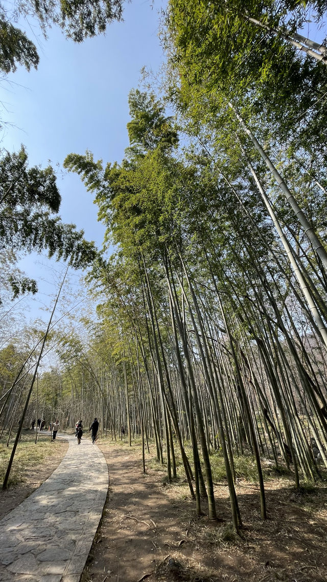 琅琊處處皆醉人～滁州琅琊山一遊