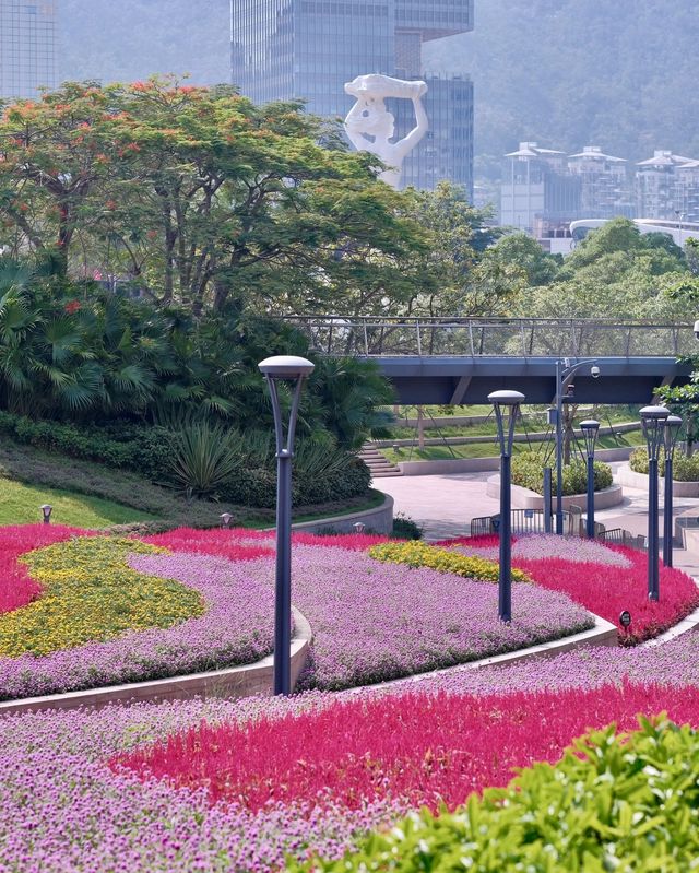 深圳女娲海濱公園/赴一場“花”“海”之約