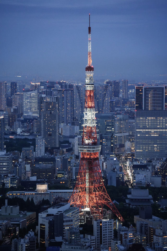 落日後的東京，就特別適合拍東京鐵塔