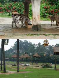 廣州長隆野生動物園