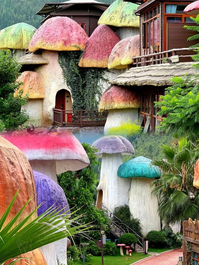 我在貴州住進了真實的蘑菇屋！太美了！！