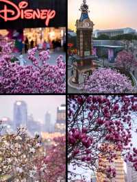 Shanghai is all Pink and Gorgeous 🌸❤️