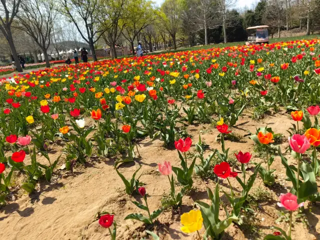 北京國際鮮花港｜園藝驛站