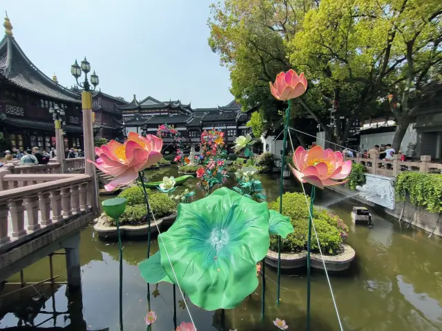 เมืองมหัศจรรย์ CITYWALK | สัมผัสเทศกาลดอกไม้ฤดูใบไม้ผลิที่สวนยูหยวนในเซี่ยงไฮ้