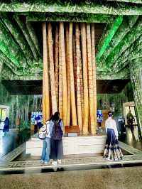 中國竹子博物館，世界竹子看中國，中國竹子看安吉
