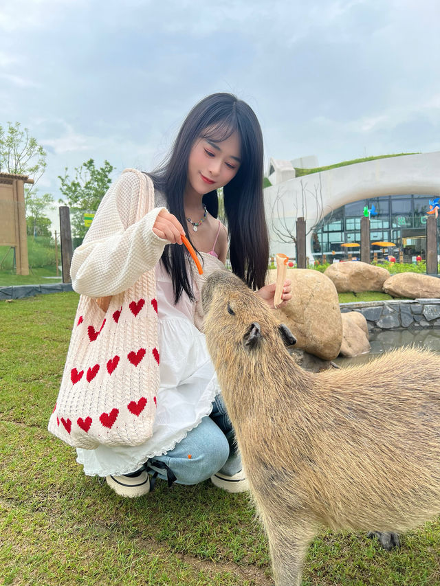 浙江人有自己的綠野仙蹤後悔沒有早點來這兒