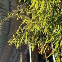 「北京恭王府，你不可錯過的傳奇故事」