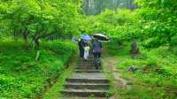 暮春飛雨古隆中，五一假期襄陽行