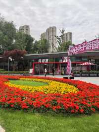 城市公園圖鑑|和平公園