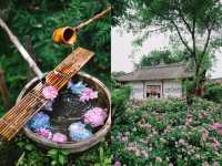 開滿無盡夏的千年古寺