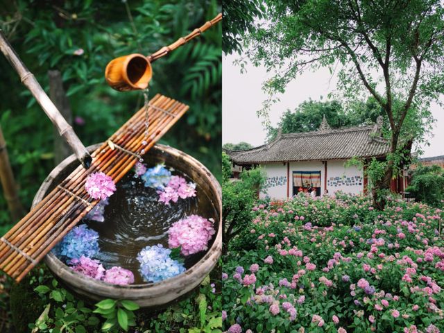 開滿無盡夏的千年古寺