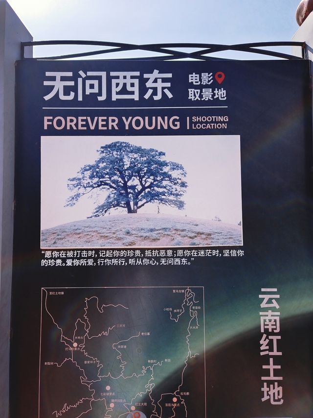 東川紅土地