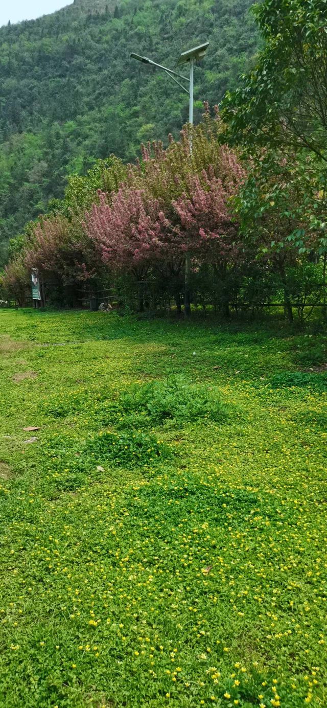 清江古河床精華路線全攻略。