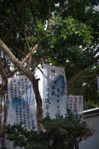 我終於來了任意門另一邊蜀園易園