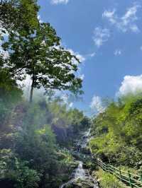 長沙近郊避暑秘籍 —— 周洛大峽谷，夏日裡的清新綠洲